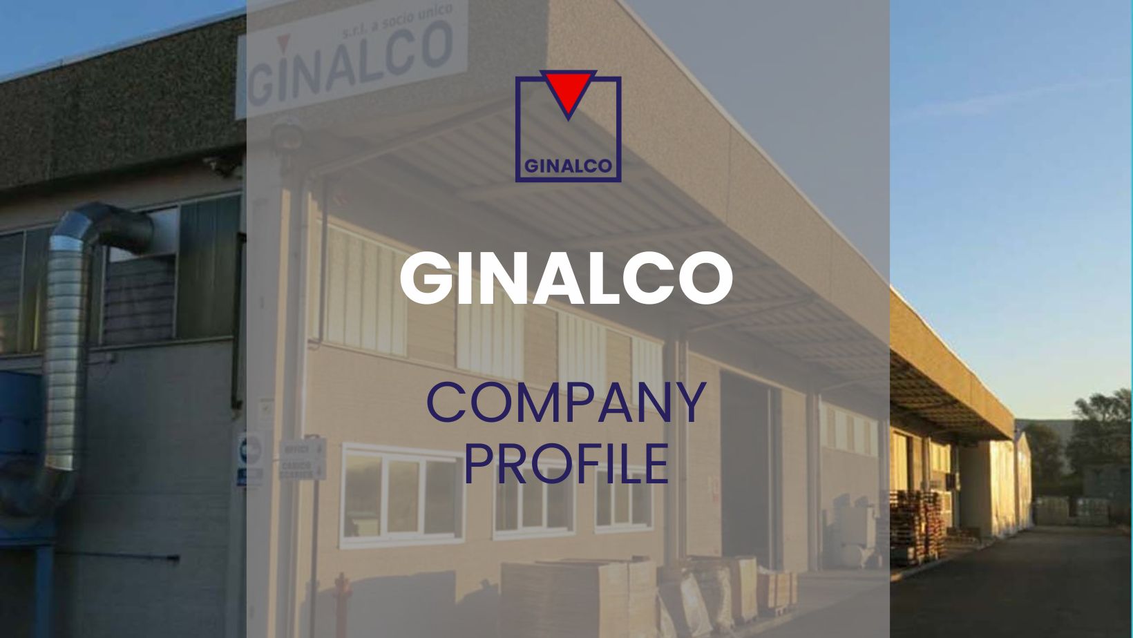 company profile storage tote tanks